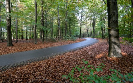 A Ride Through Drenthe!