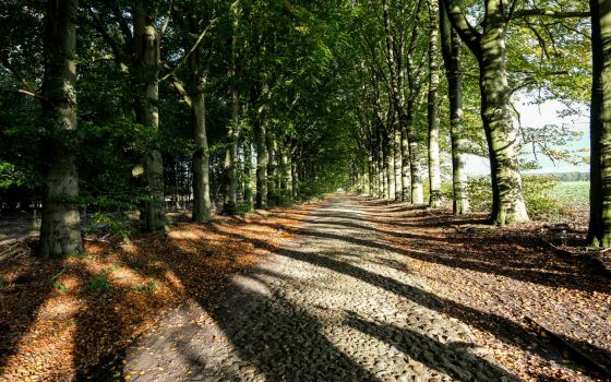 A Ride Through Drenthe!