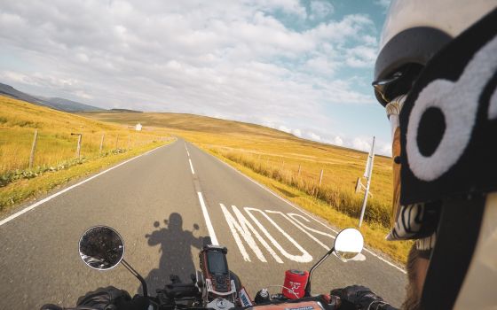 Yorkshire: Meeting bob