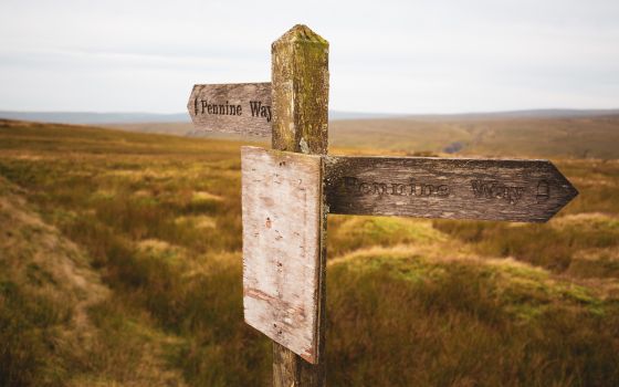 Yorkshire: Meeting bob