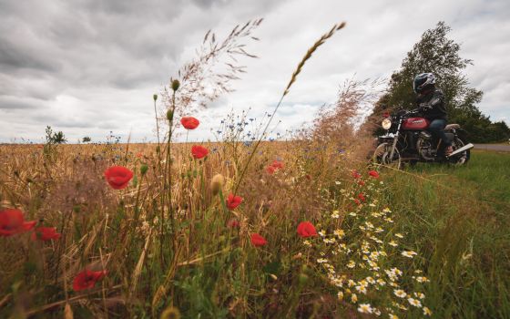 Hunsrück