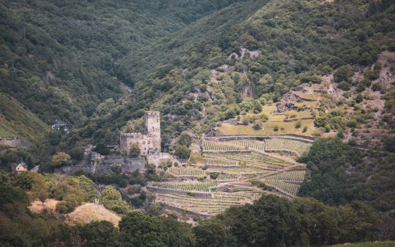 Hunsrück