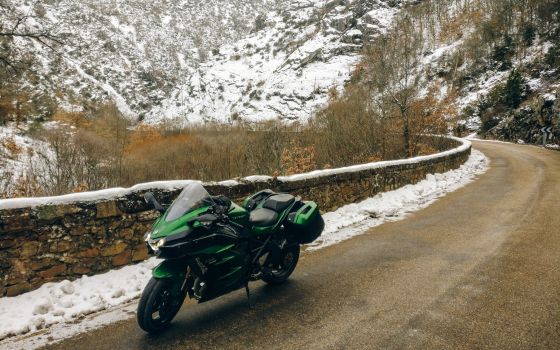 Snow does its magic.