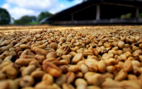 Colombia’s Paradise of Coffee and Dirt