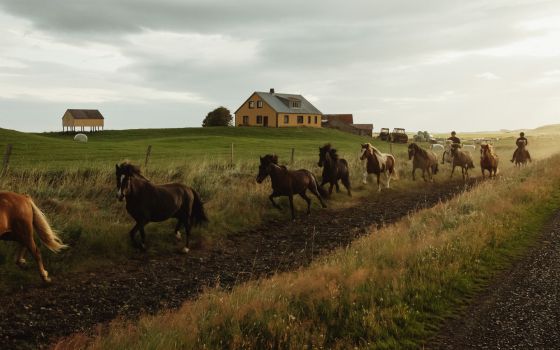 Iceland, part VII
