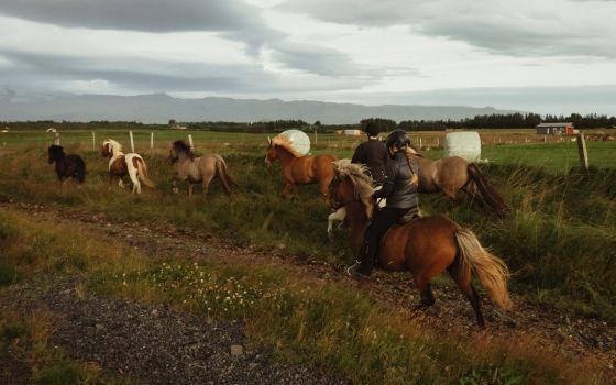Iceland, part VII