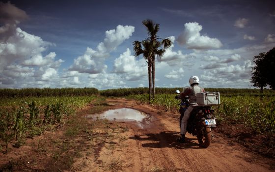 Riding through sugar cane plantations, Burkina Faso