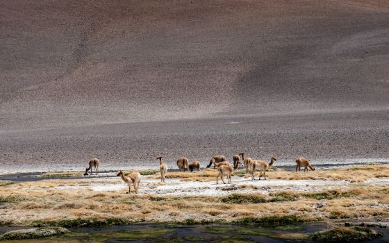 Motorcycle-Diaries ride through Chile