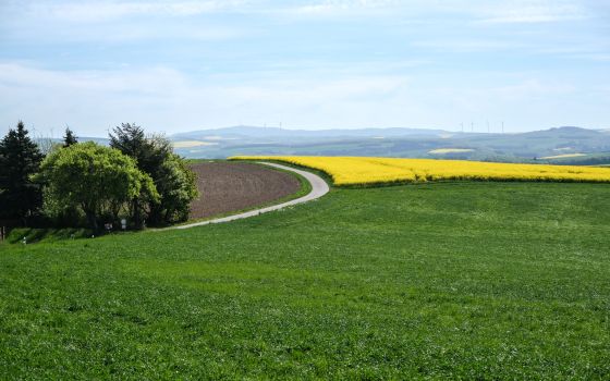 Between Moselle & Saarland
