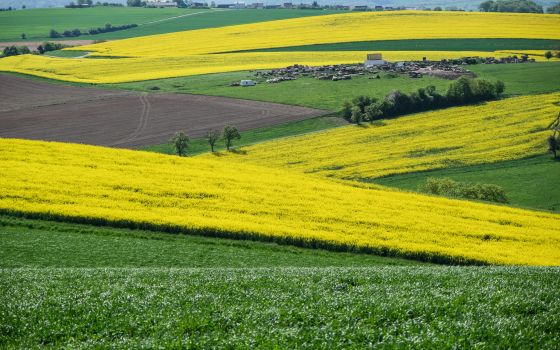 Between Moselle & Saarland