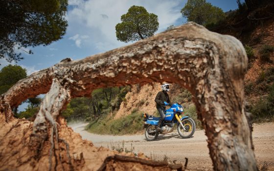 Lost in Teruel