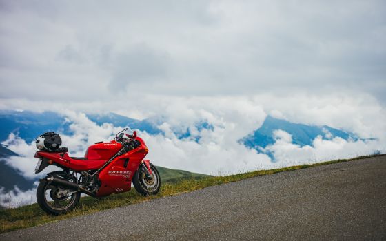 Pyrenees