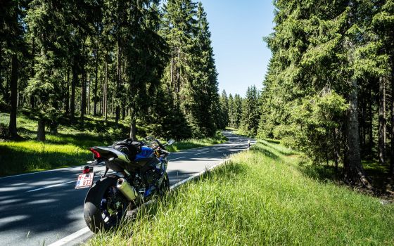 Pine forests and a perfect road surface for the L1145