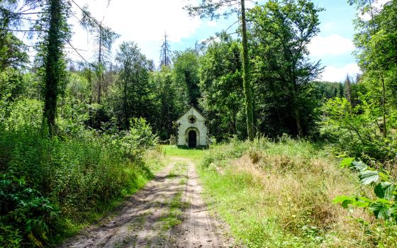 Trans Euro Trail:  France, Section 13 