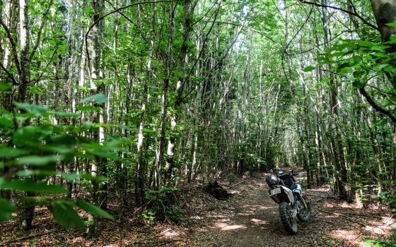 Trans Euro Trail:  France, Section 13 