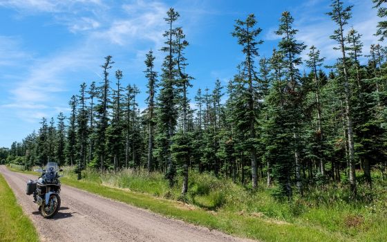 Trans Euro Trail: Sweden