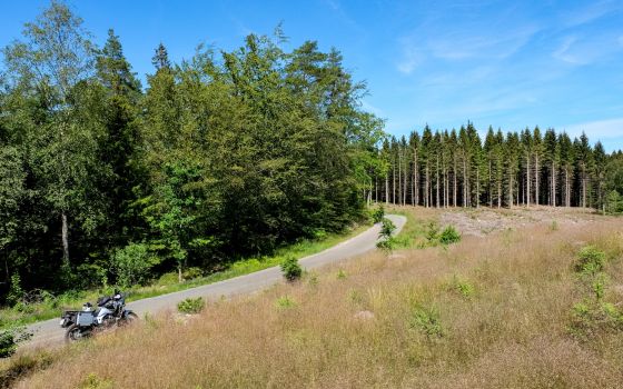 Trans Euro Trail: Sweden