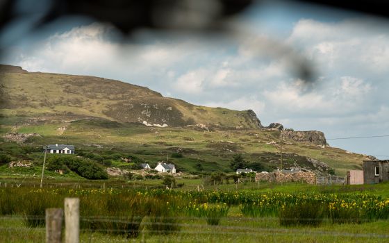 Close to the village of Leenan you get the standard Irish postcard view: sheep, green hills, and the ocean.