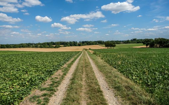 a wonderful landscape, plenty of space and you have it all to yourself