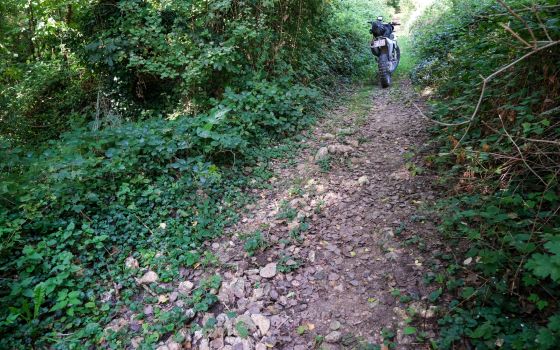 A sparkling adventure ride