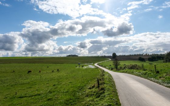 Meandering through the fields.