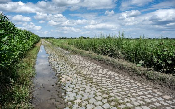 The cobblestones of Paris-Roubaix