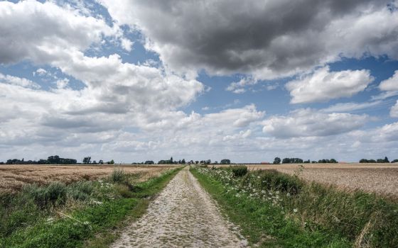 The cobblestones of Paris-Roubaix