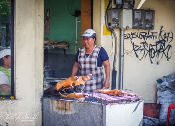 RTWPaul: The Best of the Ecuadorian Andes