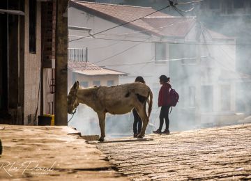 RTWPaul: The Best of the Ecuadorian Andes