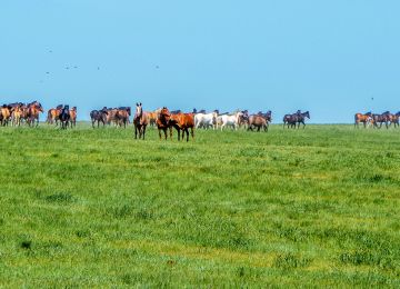 RTWPaul: America Coast to Coast on Dirt, The Trans America Trail