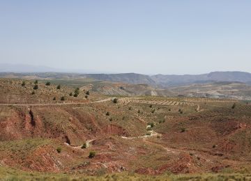 Bloody Landscape - Spain