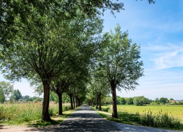 Along the Belgian border