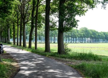 Along the Belgian border