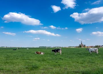 Along the Belgian border