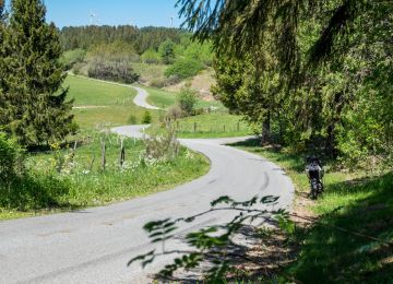 Along the Belgian border