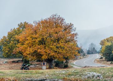 Eastern Kissavos (17 km, Greece)
