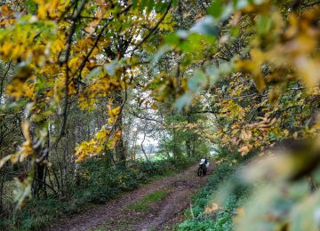 A Ride Through Drenthe!