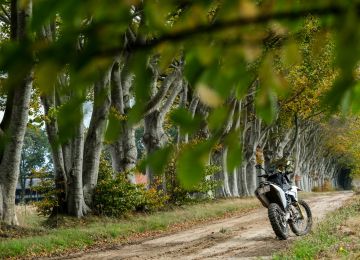 A Ride Through Drenthe!