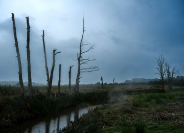A Ride Through Drenthe!