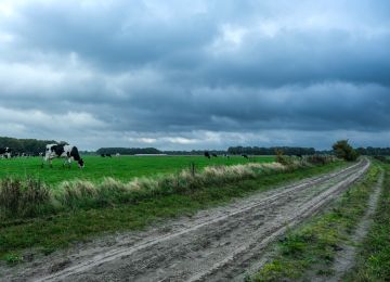 A Ride Through Drenthe!