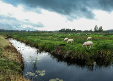 A Ride Through Drenthe!