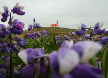 Iceland, Part VI