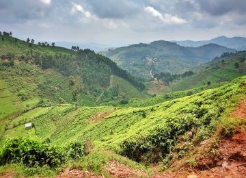 ON HER BIKE: THROUGH UGANDA AND RWANDA