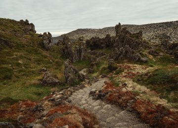 Iceland, Part VI