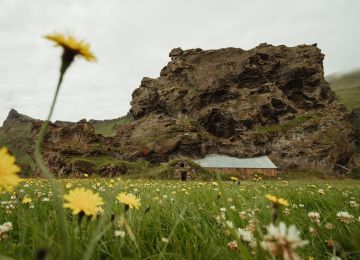 Iceland, part VII