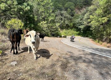Riding Mexico’s Legendary Route 40: Durango to Mazatlán