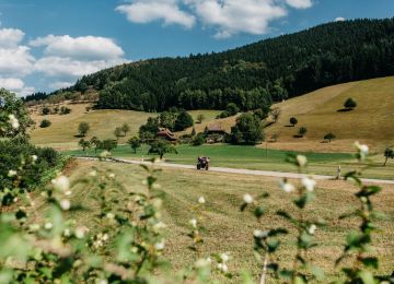 Germany: Black Forest
