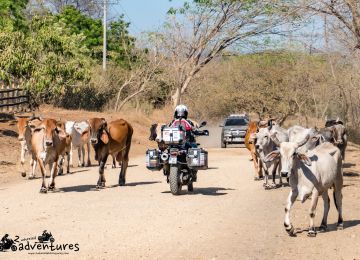 Just a regular day in traffic of Nicaragua 