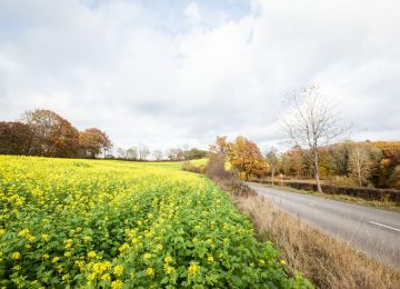 Weekend trip: Luxembourg
