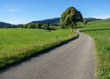 Swiss Jura and French Alps